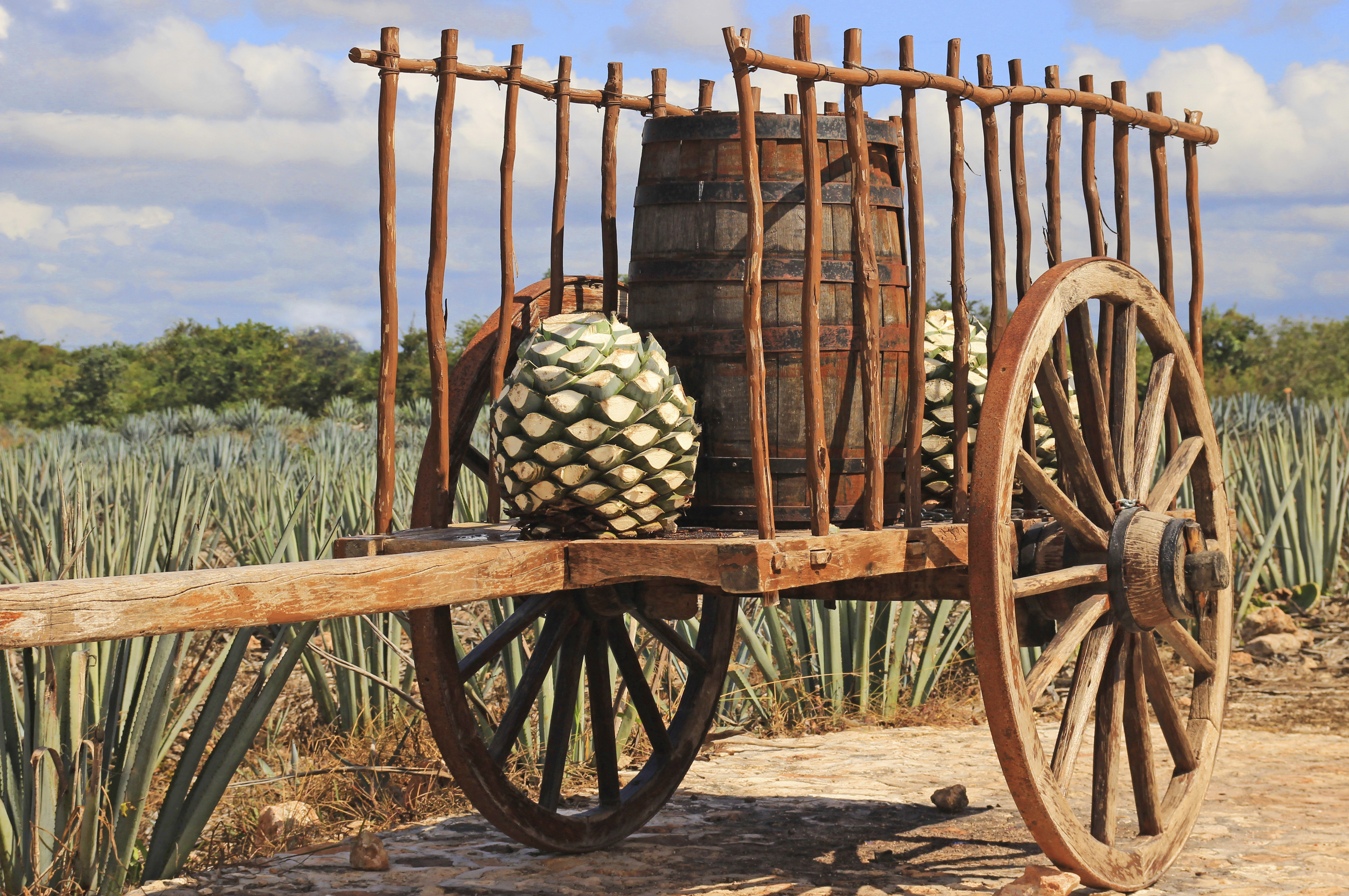 Jimadores Cart